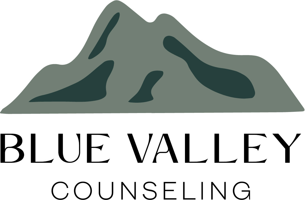 BlueValley_Logo-02 (1)
