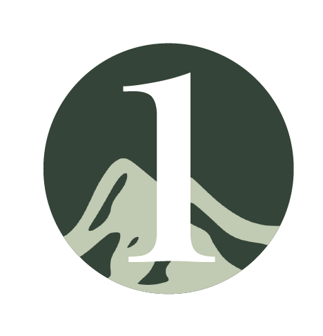 TimelineIcon_1