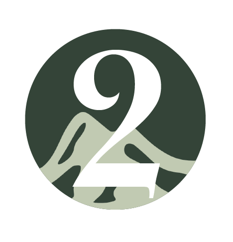 TimelineIcon_2