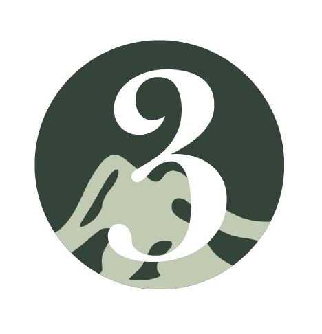 TimelineIcon_3
